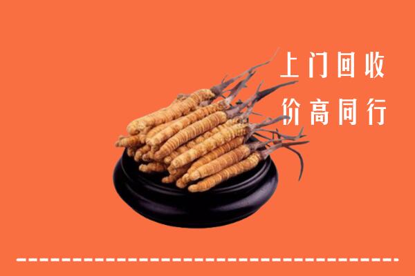 高价求购：洛阳市汝阳县回收散虫草