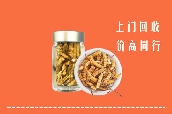 洛阳市汝阳县回收冬虫夏草